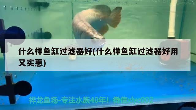 什么樣魚缸過濾器好(什么樣魚缸過濾器好用又實惠) 黑桃A魚苗