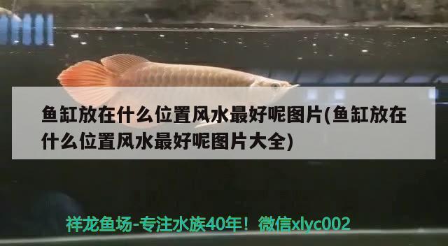 魚(yú)缸放在什么位置風(fēng)水最好呢圖片(魚(yú)缸放在什么位置風(fēng)水最好呢圖片大全) 魚(yú)缸風(fēng)水