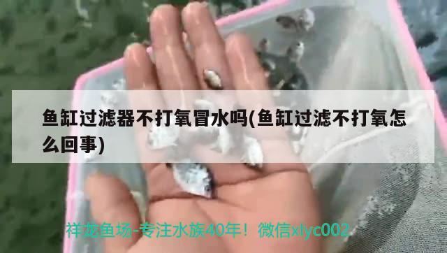 魚缸過濾器不打氧冒水嗎(魚缸過濾不打氧怎么回事) 斑馬狗頭魚