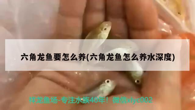 魚缸氣泵不冒泡是壞了嘛視頻(魚缸氣泵不冒泡是壞了嘛視頻講解) 全國觀賞魚市場