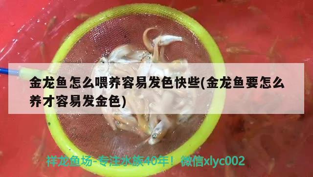 阜新二手魚缸百姓網(wǎng)價格查詢電話：阜新二手魚缸水族箱百姓網(wǎng) 魚缸/水族箱 第2張