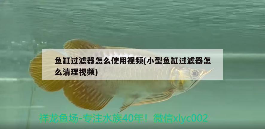 魚缸過濾器怎么使用視頻(小型魚缸過濾器怎么清理視頻) 水族維護服務(wù)（上門）