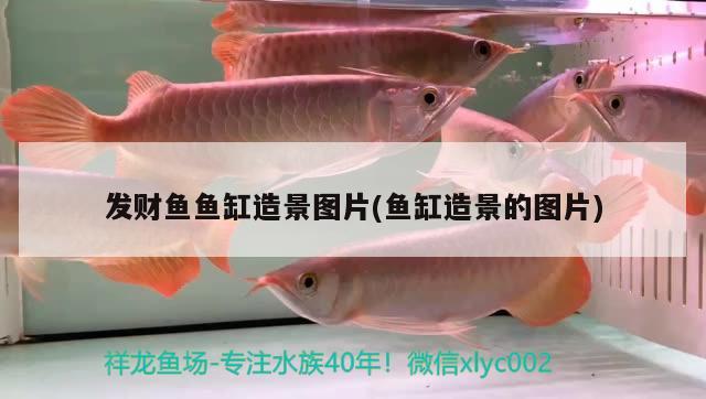 梧州水族館：梧州有什么水上樂園