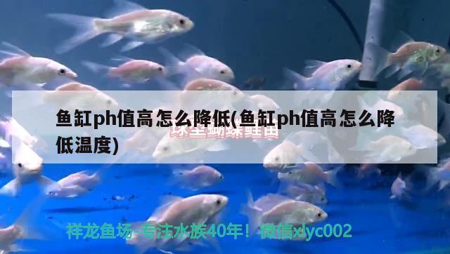 魚缸放在辦公室哪個(gè)位置風(fēng)水最好魚缸放在辦公室哪個(gè)風(fēng)水最好，魚缸放在辦公室哪個(gè)位置風(fēng)水最好