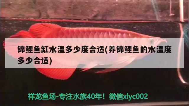 錦鯉魚缸水溫多少度合適(養(yǎng)錦鯉魚的水溫度多少合適) 魚缸等水族設(shè)備