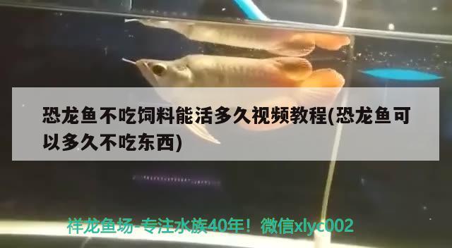 魚(yú)缸改下過(guò)濾示意圖：魚(yú)缸改上濾步驟或圖片 廣州水族批發(fā)市場(chǎng) 第2張