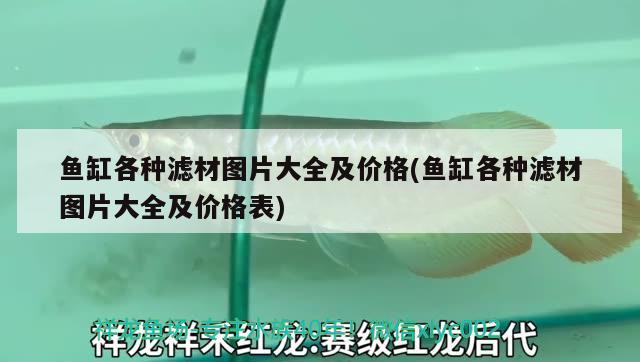 8米魚缸的尺寸大小及選購指南魚缸尺寸大小及選購指南，1.8米魚缸尺寸大小及選購指南魚缸尺寸大小及選購指南