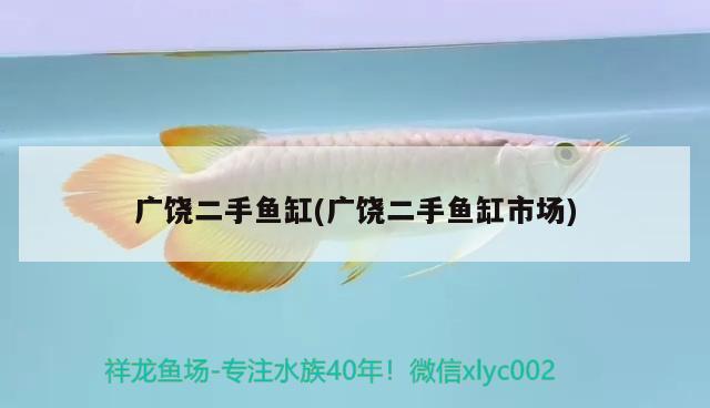 廣饒二手魚缸(廣饒二手魚缸市場) 銀古魚苗