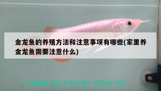 用方鋼制作魚缸底柜視頻：用方鋼制作魚缸底柜視頻講解