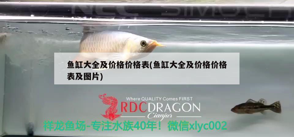 魚(yú)缸大全及價(jià)格價(jià)格表(魚(yú)缸大全及價(jià)格價(jià)格表及圖片) 球鯊魚(yú)