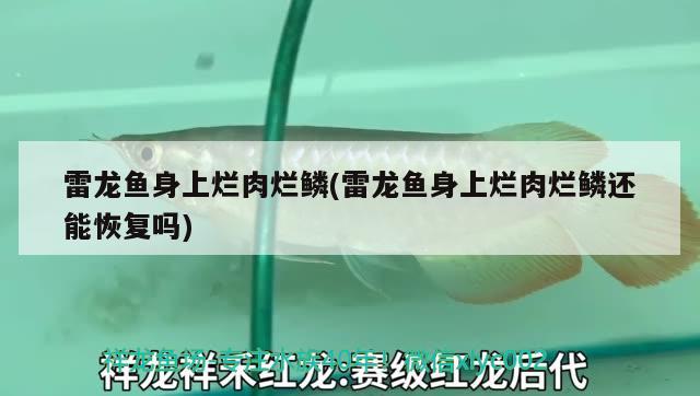 潛水泵不用的時(shí)候還一直在水里放在水里嗎，這樣保存更好，潛水泵不用的時(shí)候還一直在水里嗎？ 水族雜談 第3張