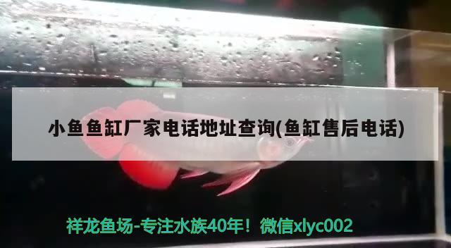 小魚魚缸廠家電話地址查詢(魚缸售后電話) 虎紋銀版魚