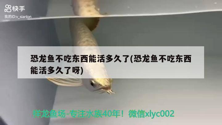 恐龍魚不吃東西能活多久了(恐龍魚不吃東西能活多久了呀)