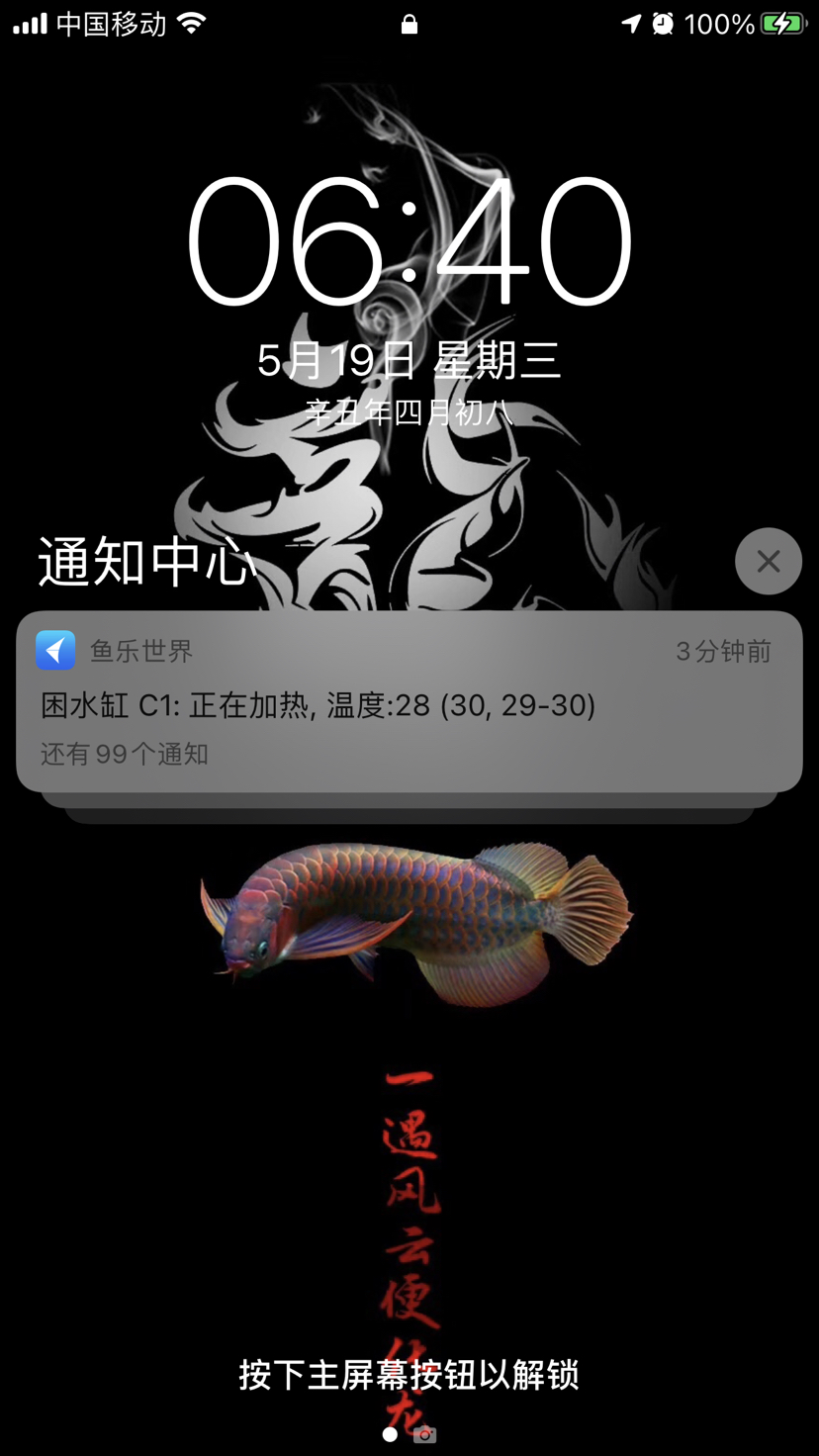 翻身龍魚再續(xù) 水族用品 第1張