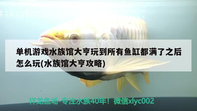 單機(jī)游戲水族館大亨玩到所有魚缸都滿了之后怎么玩(水族館大亨攻略)