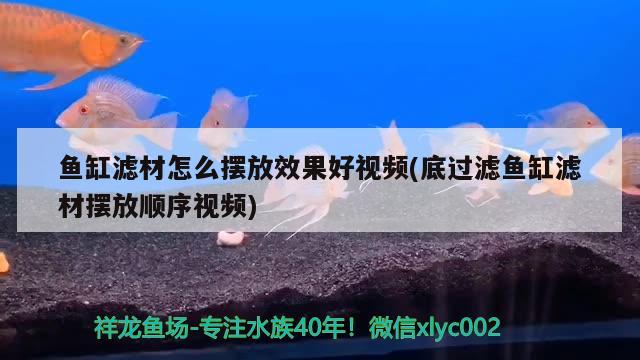 魚缸濾材怎么擺放效果好視頻(底過濾魚缸濾材擺放順序視頻) 帝王血鉆