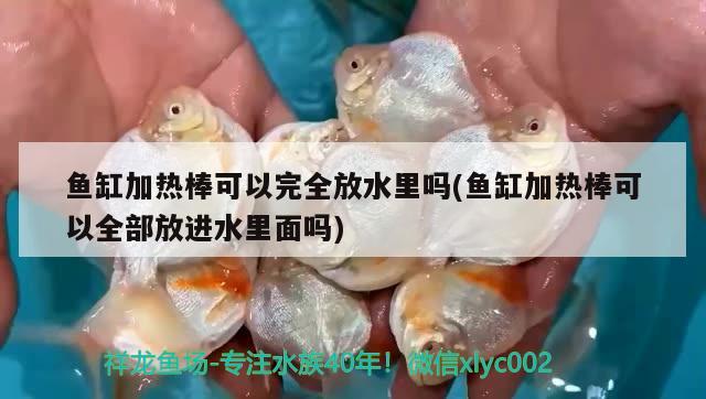 魚缸加熱棒可以完全放水里嗎(魚缸加熱棒可以全部放進(jìn)水里面嗎)