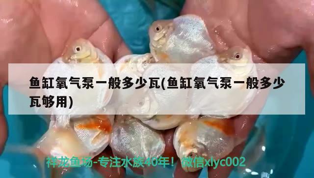 魚缸氧氣泵一般多少瓦(魚缸氧氣泵一般多少瓦夠用) 龍魚芯片掃碼器