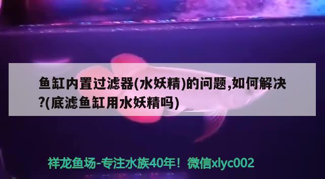 魚缸內(nèi)置過濾器(水妖精)的問題,如何解決?(底濾魚缸用水妖精嗎)