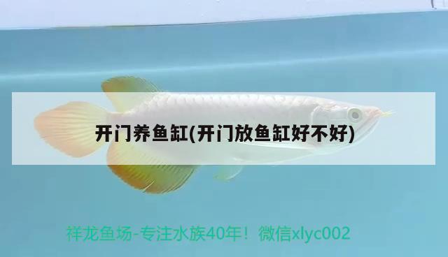 開門養(yǎng)魚缸(開門放魚缸好不好)