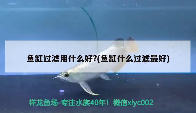 魚缸過濾用什么好?(魚缸什么過濾最好) 觀賞魚企業(yè)目錄