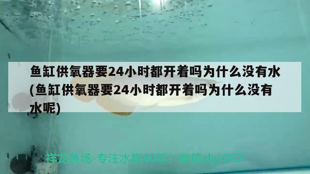 魚缸供氧器要24小時都開著嗎為什么沒有水(魚缸供氧器要24小時都開著嗎為什么沒有水呢) 魚缸水質(zhì)穩(wěn)定劑