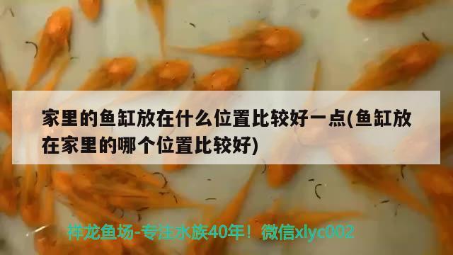 家里的魚缸放在什么位置比較好一點(魚缸放在家里的哪個位置比較好)