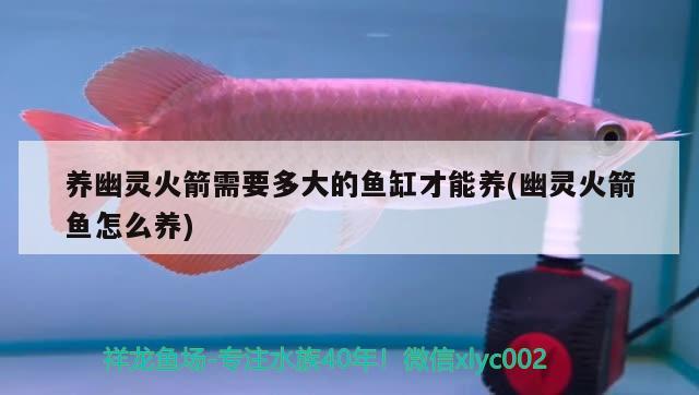 葫蘆島百姓網(wǎng)魚缸批發(fā)價(jià)格多少錢一個(gè)（坐標(biāo)北京，周末可以去哪里玩呀） 觀賞魚市場（混養(yǎng)魚） 第2張