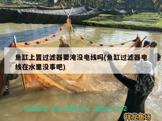 魚缸上置過濾器要淹沒電線嗎(魚缸過濾器電線在水里沒事吧)