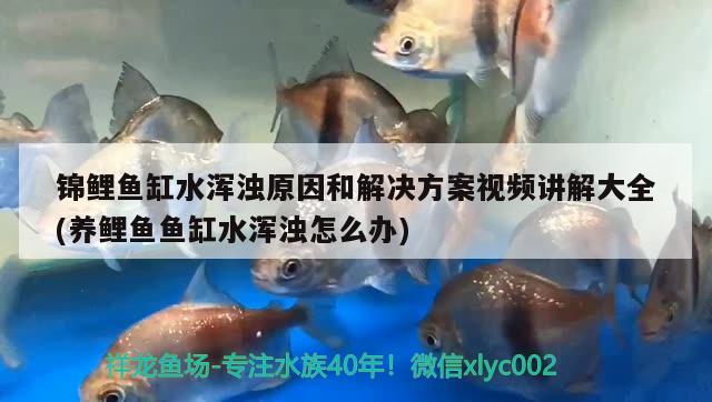 廣州勤蕭貿(mào)易店 全國(guó)水族館企業(yè)名錄 第1張