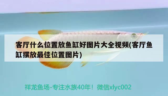 魚缸品牌哪個好用又實惠的(什么品牌魚缸性價比高) 魚缸凈水劑 第2張