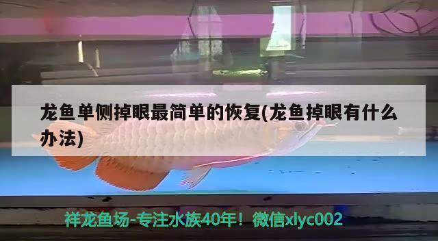 毫州水族館兩條都起沙了