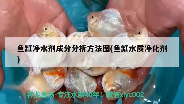 魚缸凈水劑成分分析方法圖(魚缸水質(zhì)凈化劑) 印尼紅龍魚