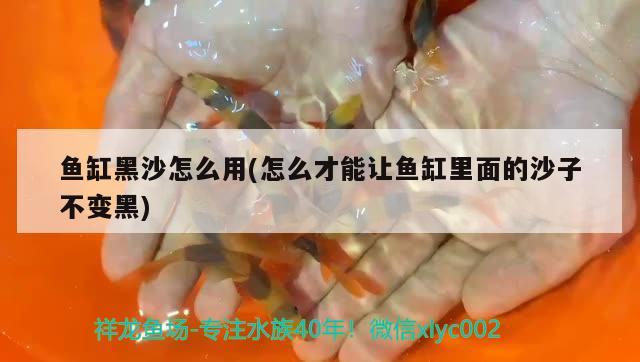 魚缸黑沙怎么用(怎么才能讓魚缸里面的沙子不變黑) 銀古魚苗