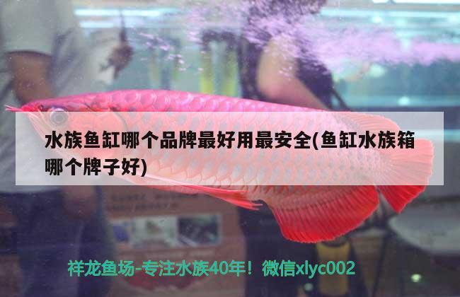 水族魚缸哪個(gè)品牌最好用最安全(魚缸水族箱哪個(gè)牌子好) 魚缸/水族箱