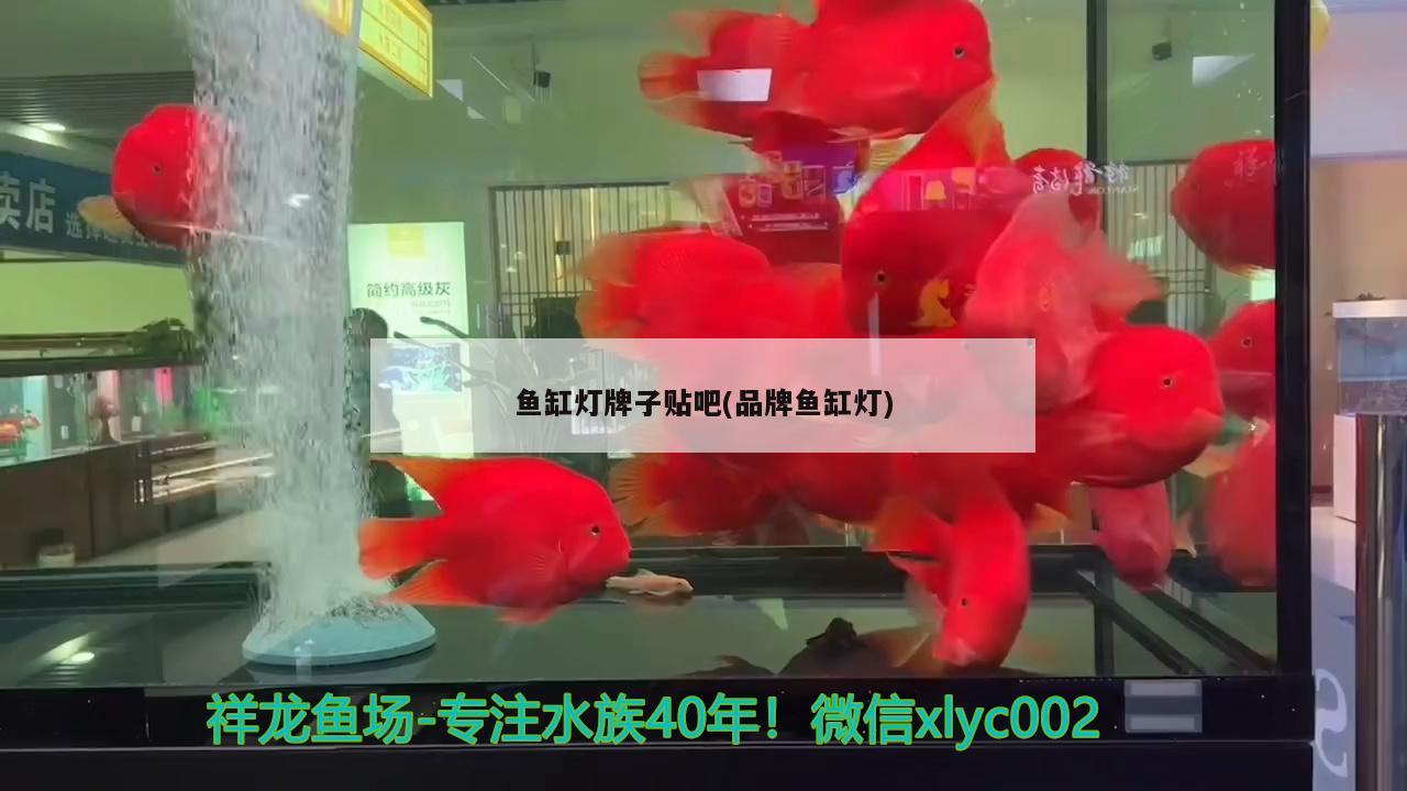 魚缸燈牌子貼吧(品牌魚缸燈)