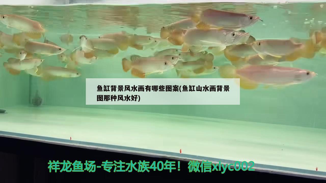 魚缸背景風(fēng)水畫有哪些圖案(魚缸山水畫背景圖那種風(fēng)水好) 魚缸風(fēng)水