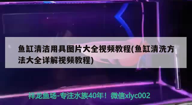 魚缸清潔用具圖片大全視頻教程(魚缸清洗方法大全詳解視頻教程) 斑馬狗頭魚