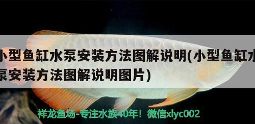 小型魚缸水泵安裝方法圖解說(shuō)明(小型魚缸水泵安裝方法圖解說(shuō)明圖片)