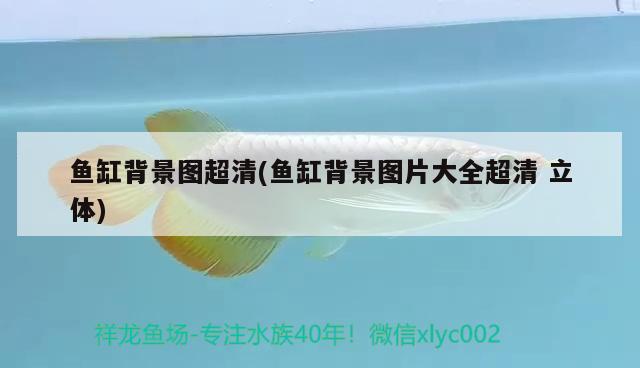 魚缸生化過濾是什么意思：魚缸生化過濾倉怎么清洗