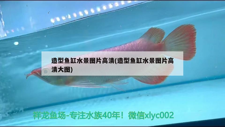 魚缸生化過濾是什么意思：魚缸生化過濾倉怎么清洗