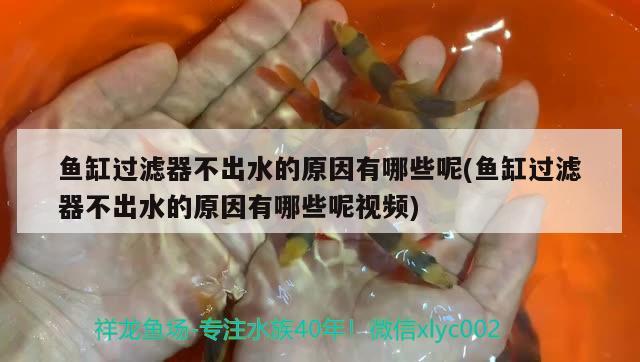 魚缸品牌哪個好索一怎么樣：我想買個一米左右的魚缸，請問什么牌子比較好，大概多少錢