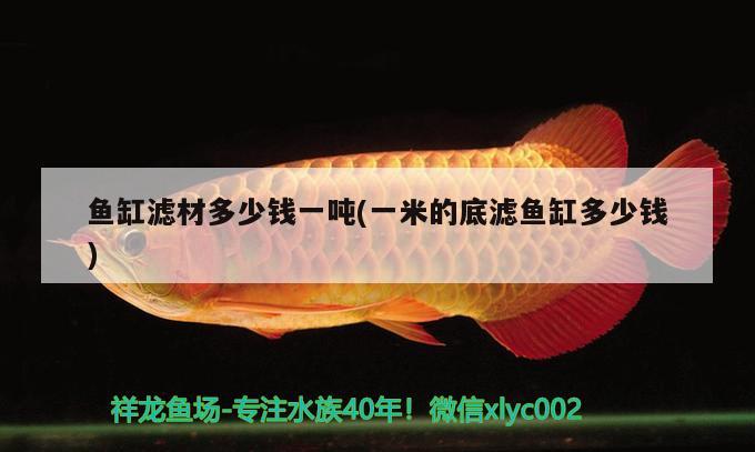 魚(yú)缸濾材多少錢一噸(一米的底濾魚(yú)缸多少錢)