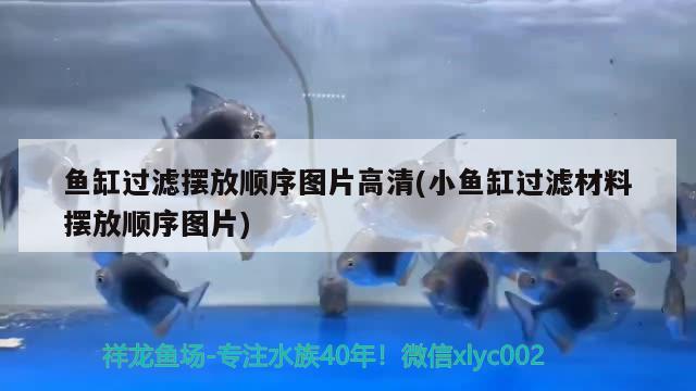 魚缸過濾擺放順序圖片高清(小魚缸過濾材料擺放順序圖片) 祥龍傳奇品牌魚缸