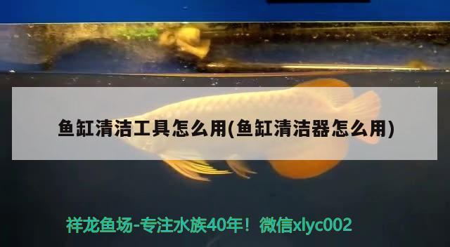 魚缸清潔工具怎么用(魚缸清潔器怎么用) 南美異型魚