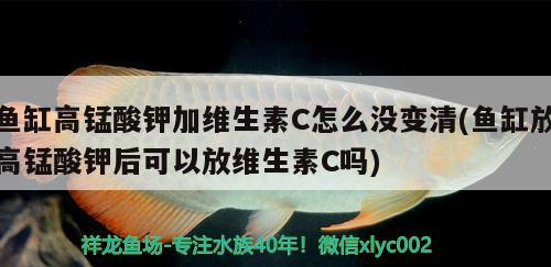 魚缸高錳酸鉀加維生素C怎么沒變清(魚缸放高錳酸鉀后可以放維生素C嗎) 南美異型魚