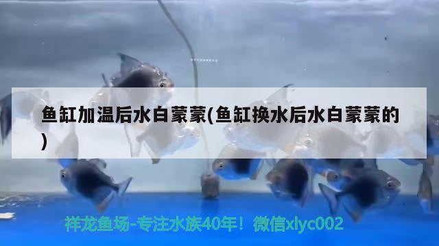 魚缸一般要放多少水合適，魚缸水發(fā)白原因和解決方法 養(yǎng)魚的好處 第2張