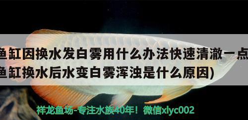 創(chuàng)星水族箱有哪些生產(chǎn)廠家，觀賞魚哪里買便宜