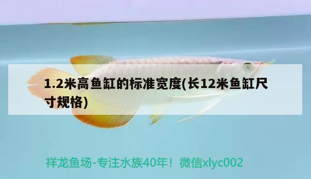 1.2米高魚缸的標(biāo)準(zhǔn)寬度(長(zhǎng)12米魚缸尺寸規(guī)格)