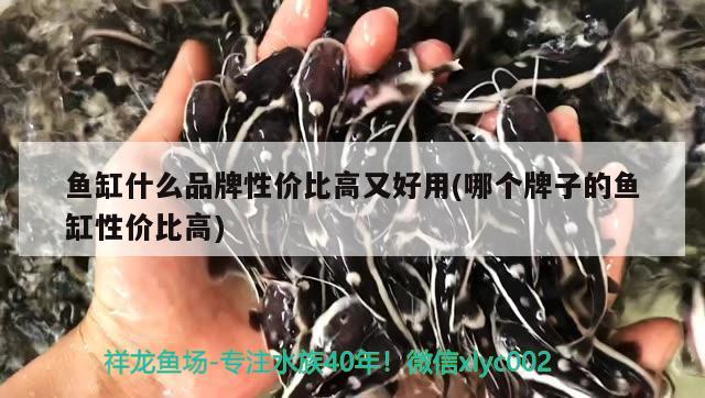 魚缸什么品牌性價比高又好用(哪個牌子的魚缸性價比高)